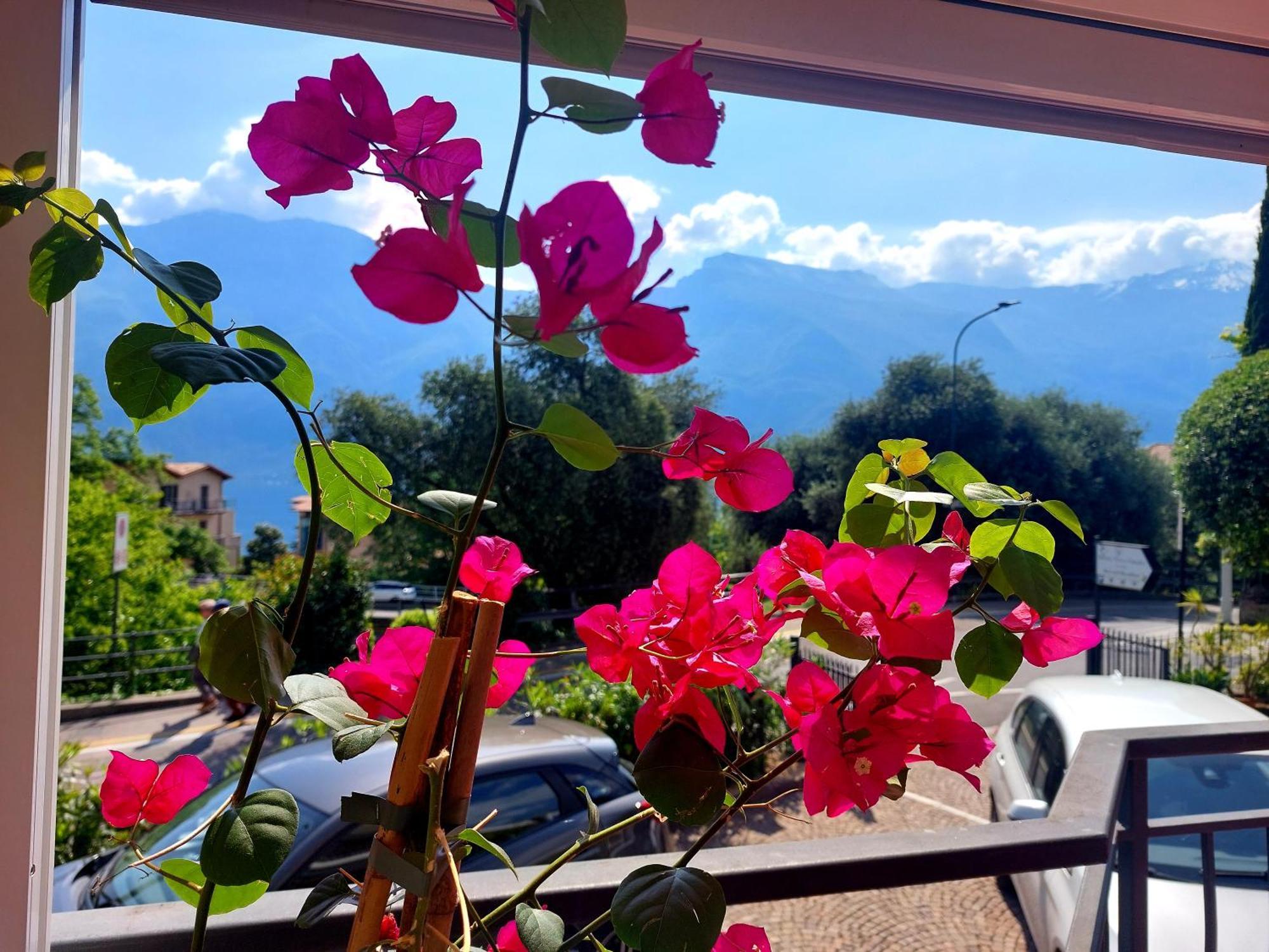 Hotel Villa Grazia 利莫内-苏尔加达 外观 照片